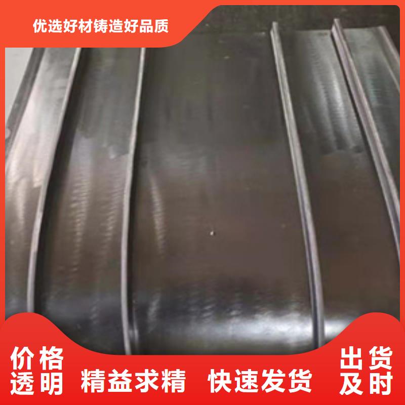 中埋式橡胶止水带蓄水池用当地品牌