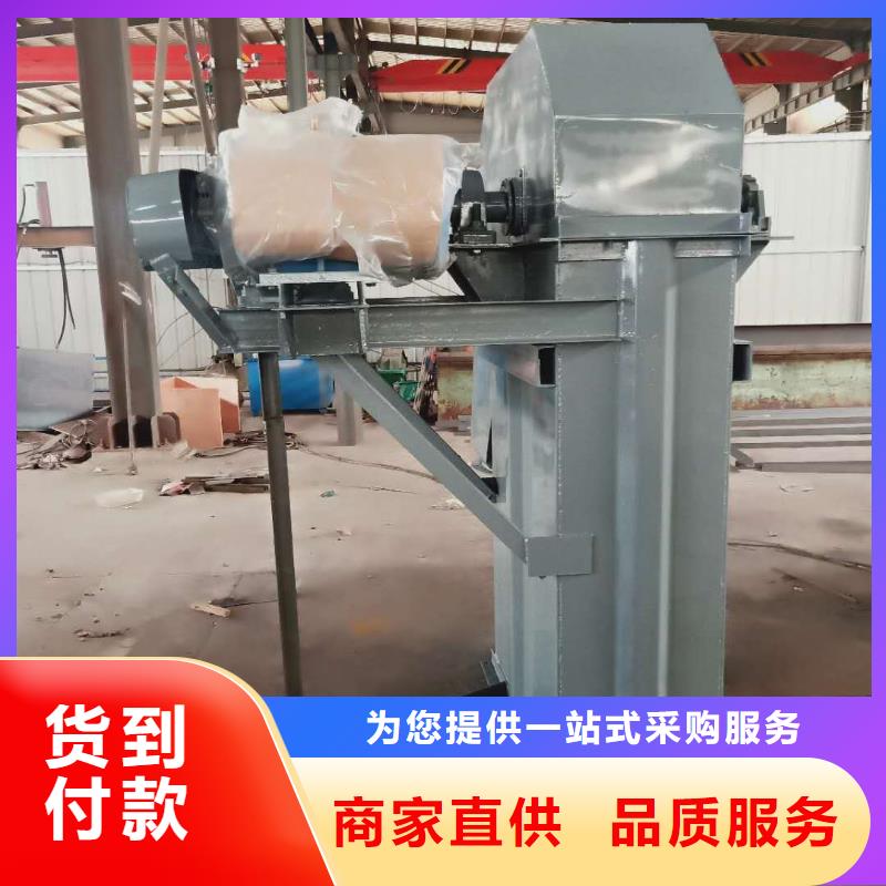 NE100链板斗式机厂家规格齐全大厂家实力看得见