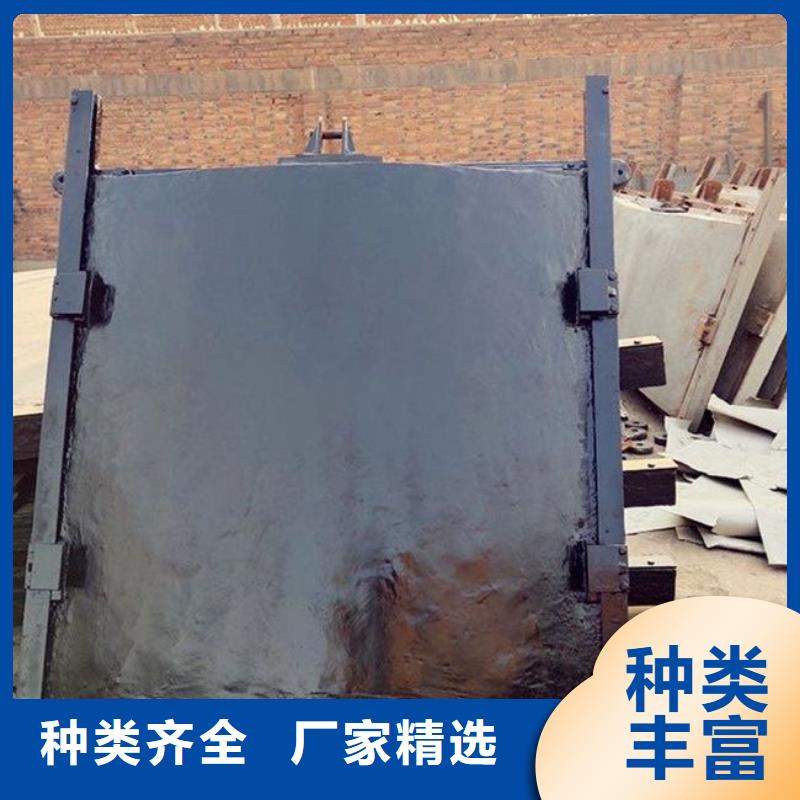 大关河道铸铁闸门厂家供应省心又省钱