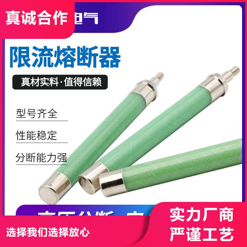 RW10-35/2A熔断器欢迎新老客户垂询