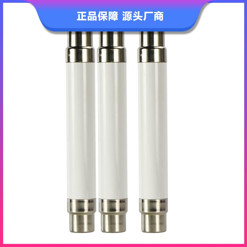 XRNT1-35/63A熔管严选好货