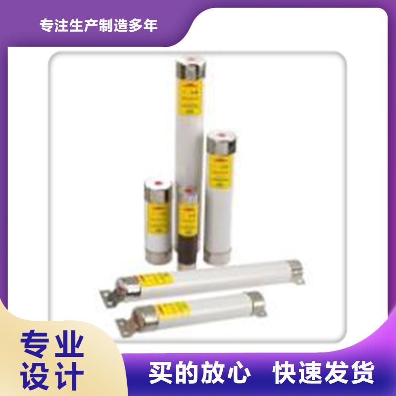 XRNP-12KV/0.2A变压器用熔断器诚信商家服务热情