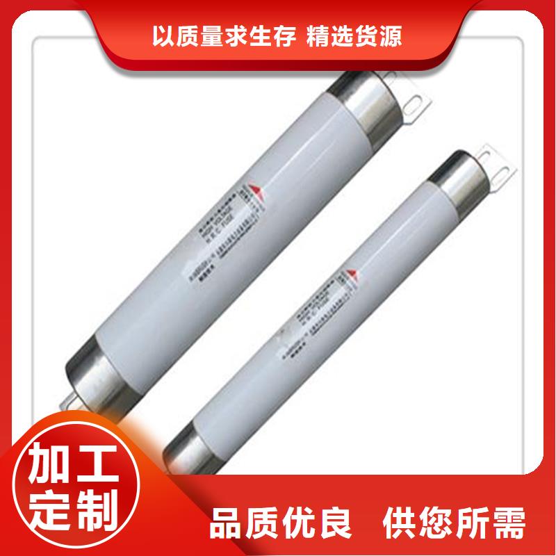 XRNM-10/150A高压熔断器同城生产厂家