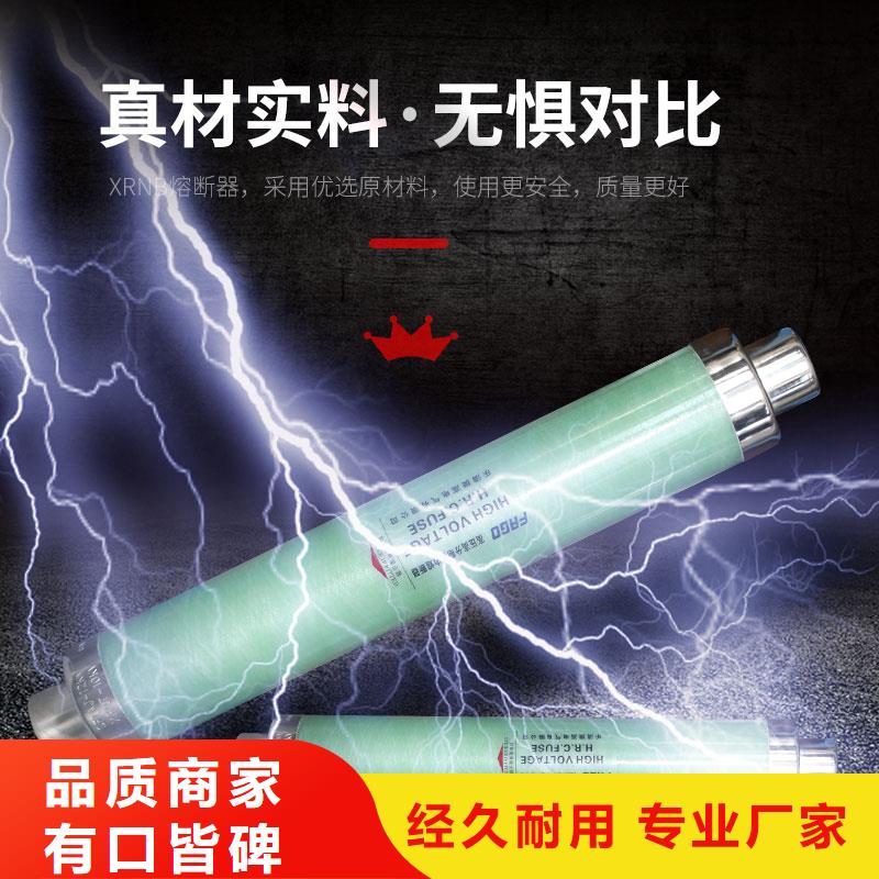 BRW2-10/100A双管限流熔断器来电咨询