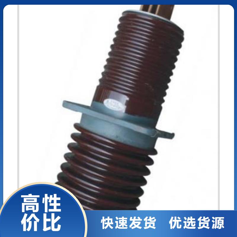 CWB-40.5/2500A高压套管商家