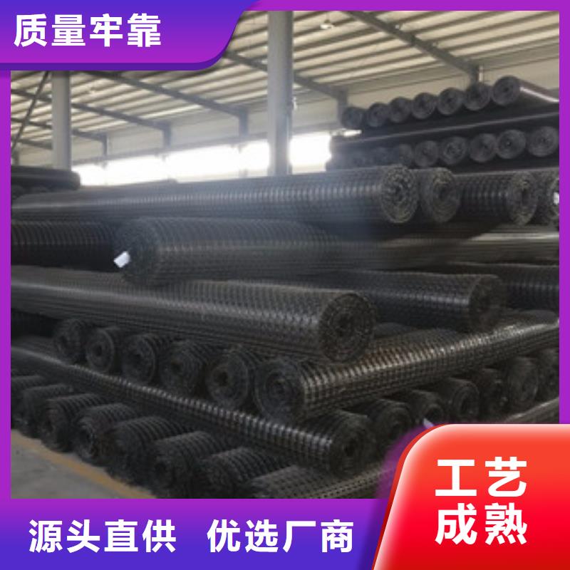 双向塑料格栅高强度土工网厂家技术完善本地生产厂家