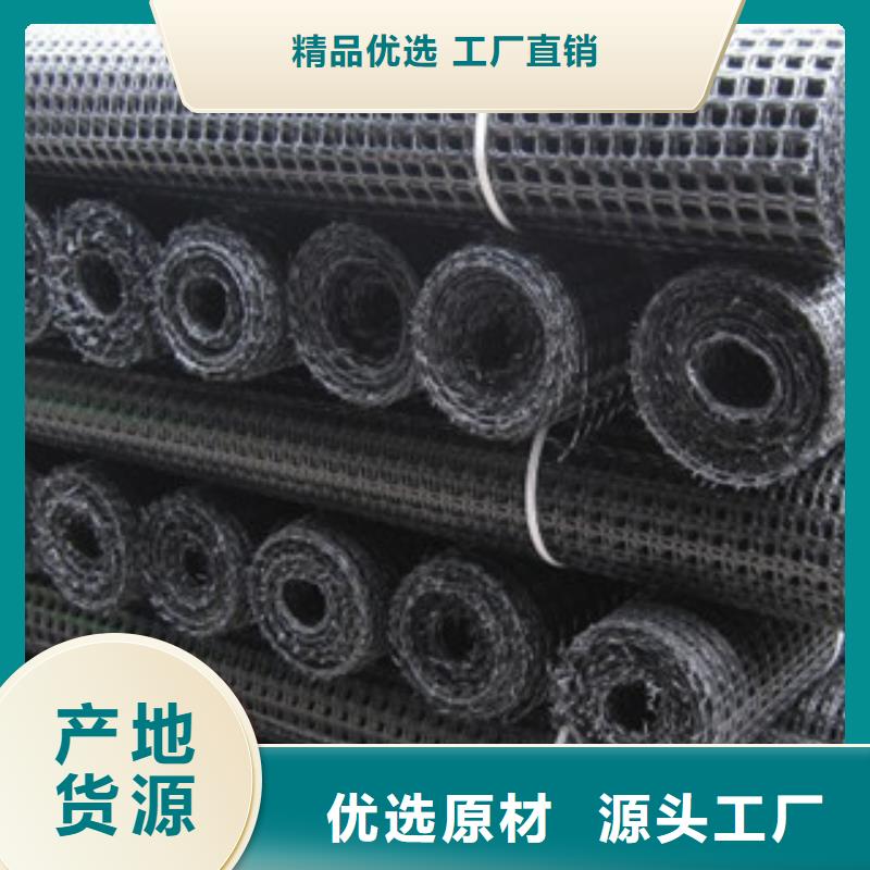 双向塑料格栅玻纤土工格栅出厂严格质检本地供应商