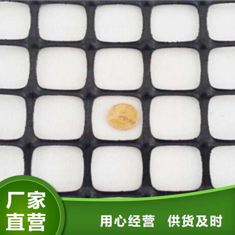 双向塑料格栅_三维植被网一手价格专业生产N年