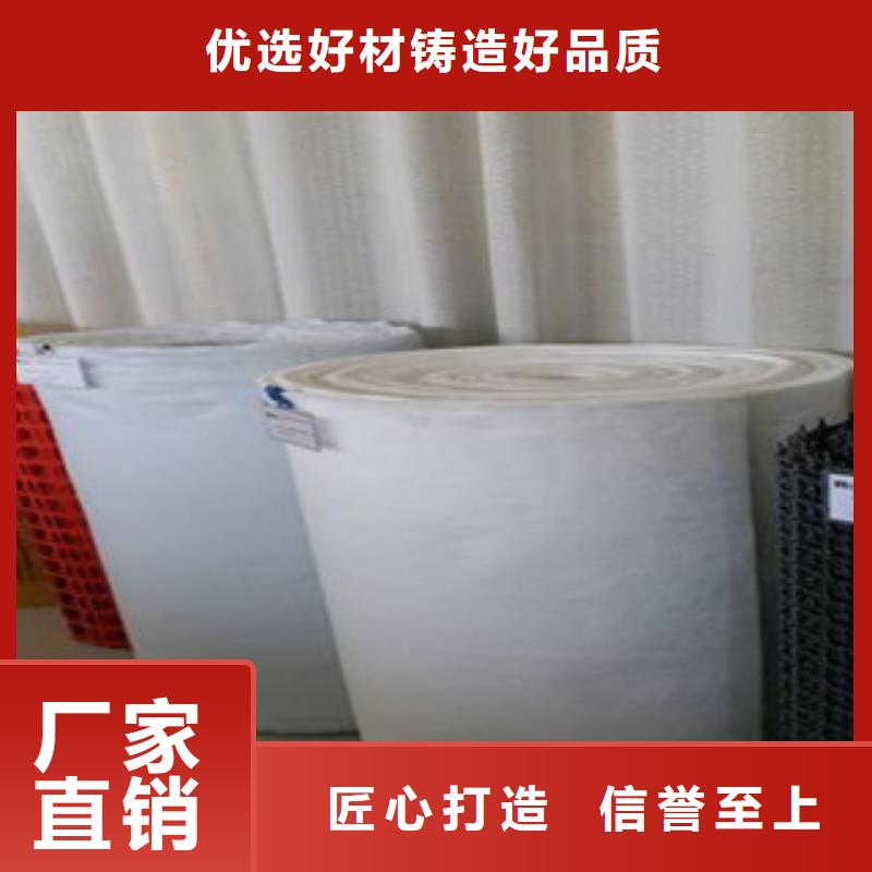 钢塑土工格栅玻纤土工格栅好产品好服务厂家直销直供