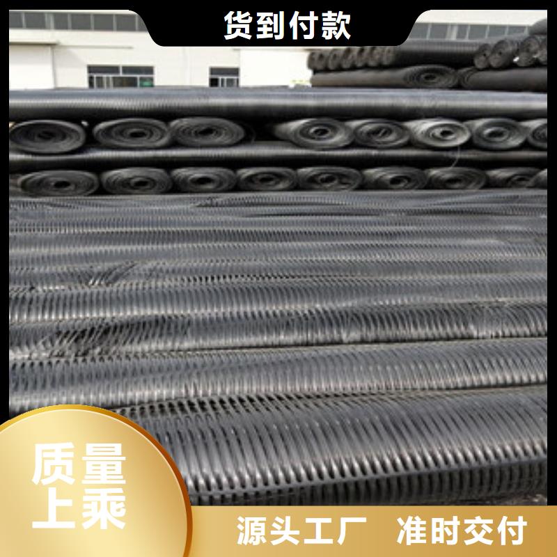 单向塑料格栅塑料土工格栅品质有保障出货及时