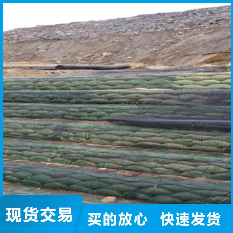 单向塑料格栅-钢塑土工格栅今年新款好产品放心购