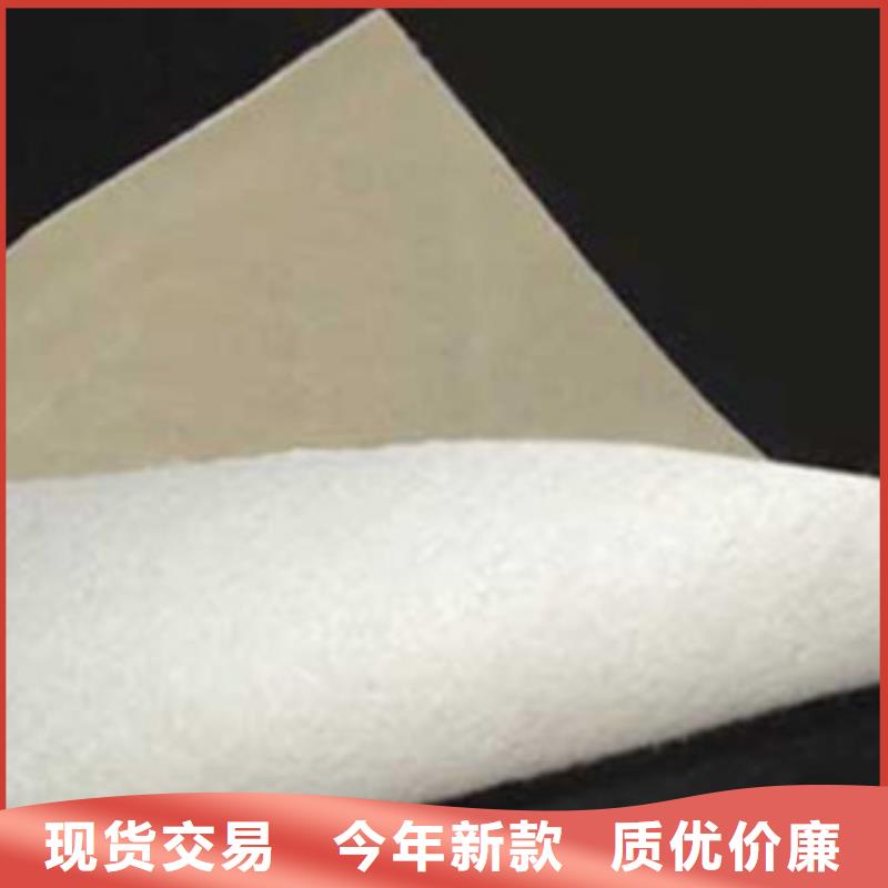 土工布玻纤土工格栅大库存无缺货危机专业完善售后