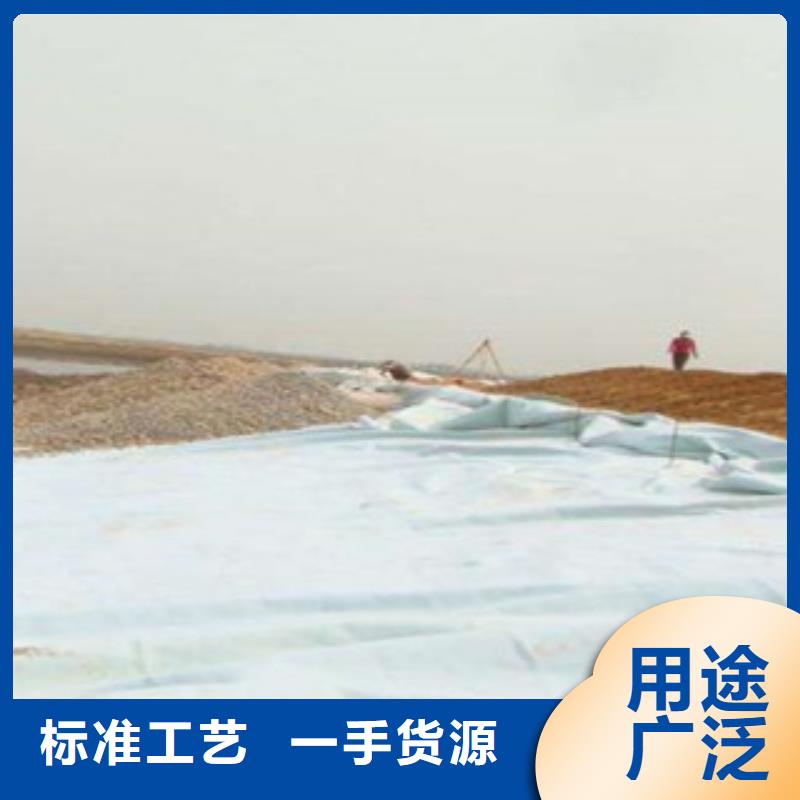 土工布_膨润土防水毯主推产品诚信经营现货现发