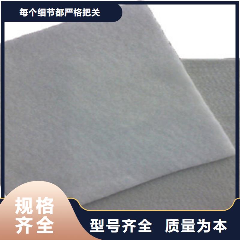 土工布-塑料土工格栅专业厂家厂家实力雄厚