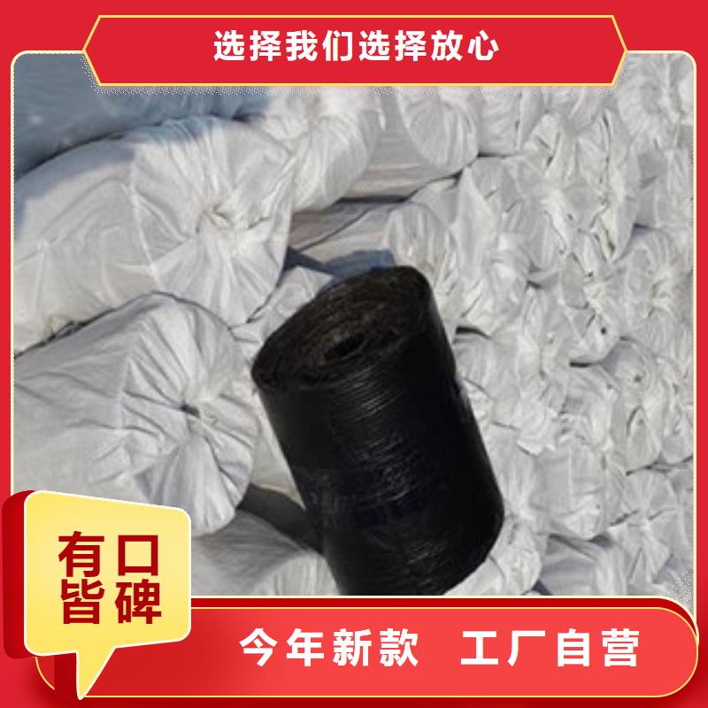 【防裂贴】三维植被网经久耐用同城公司