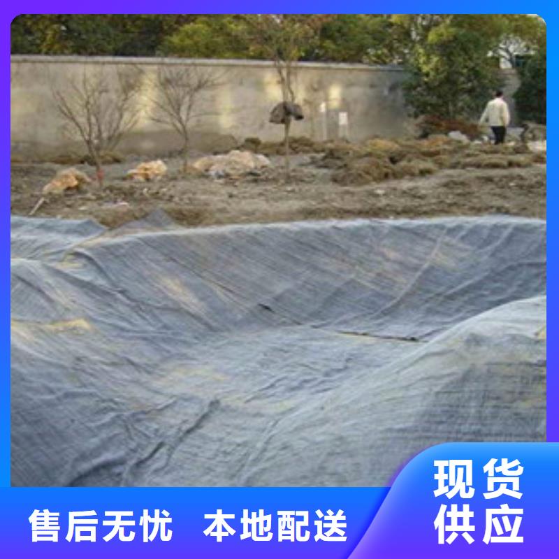 【膨润土防水毯复合土工布直销厂家】本地厂家