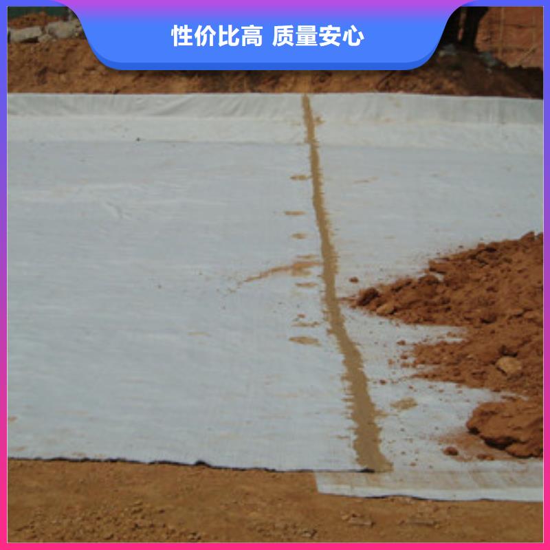 ​膨润土防水毯玻纤土工格栅采购无忧厂家直销货源充足