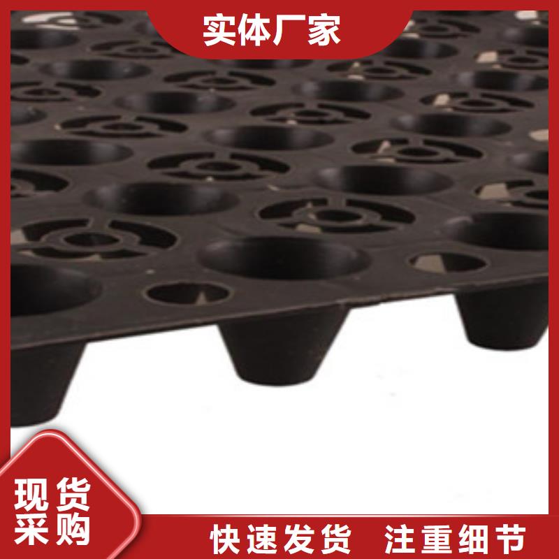 塑料排水板三维植被网工期短发货快当地生产商
