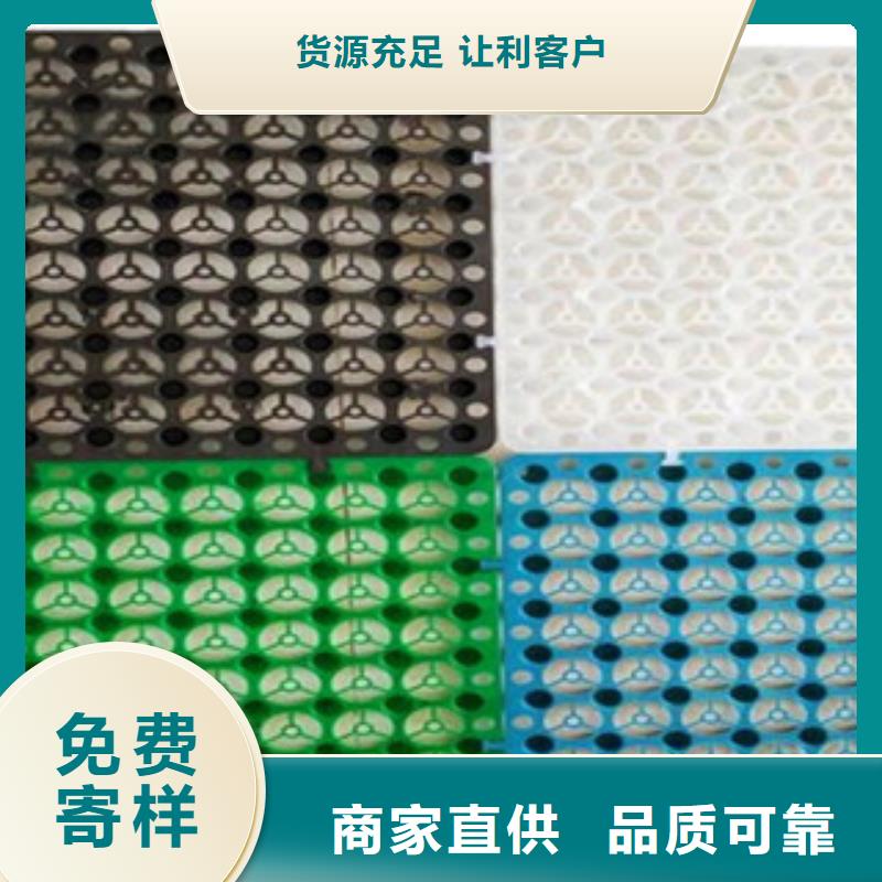 塑料排水板塑料土工格栅0中间商差价现货实拍
