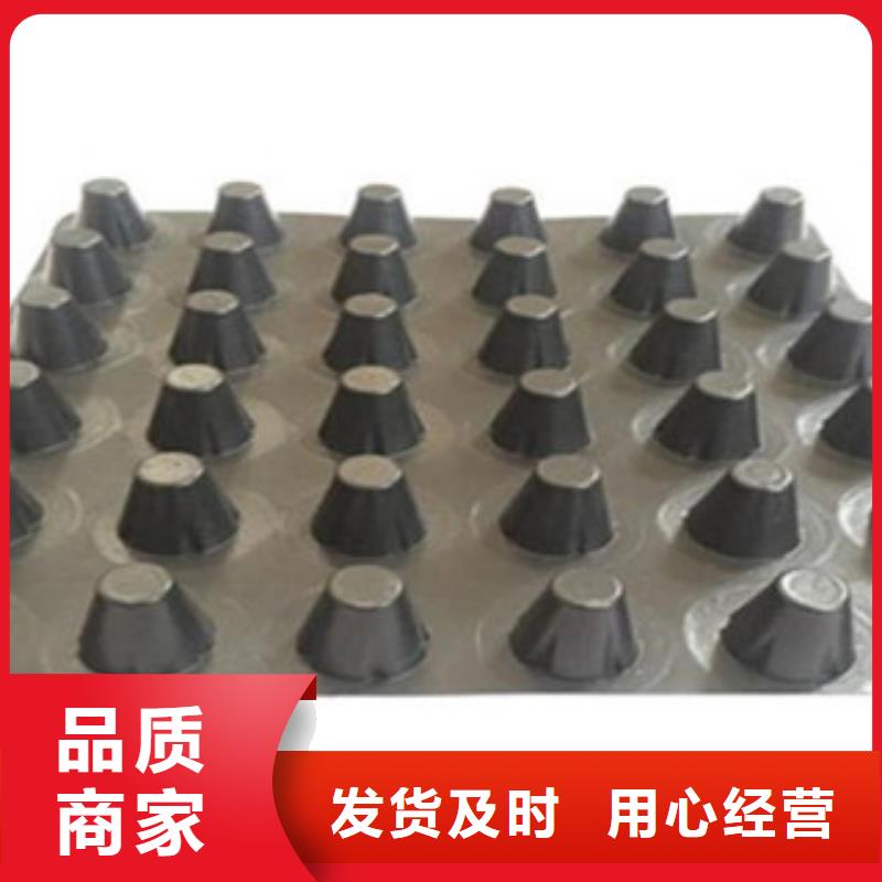 塑料排水板,三维植被网生产型精心