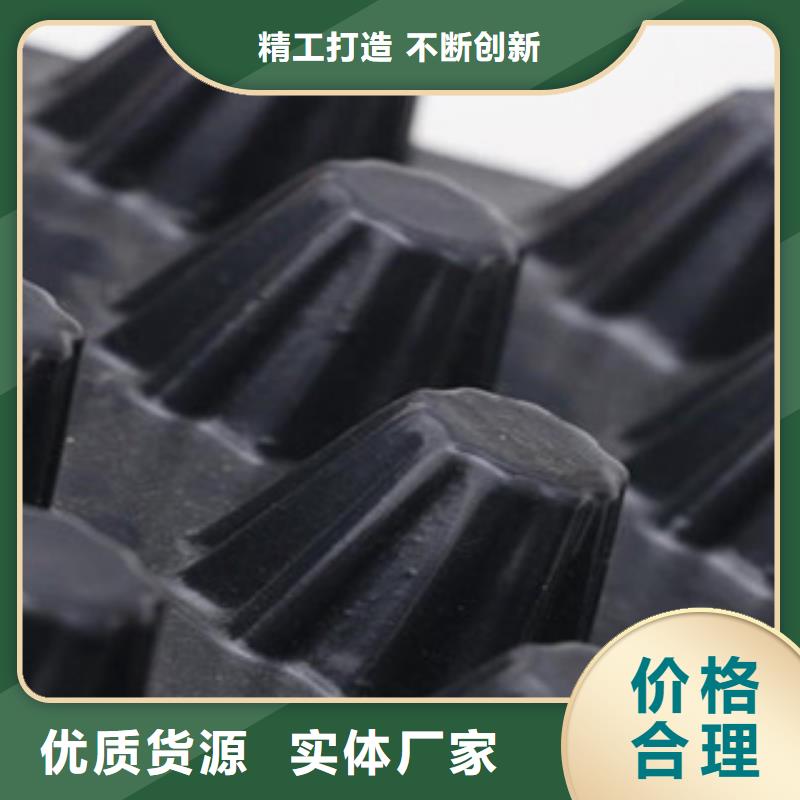 塑料排水板钢塑土工格栅厂家自营质量优选