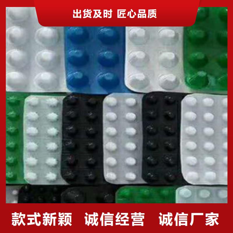 塑料排水板三维植被网源头厂源头货快速物流发货