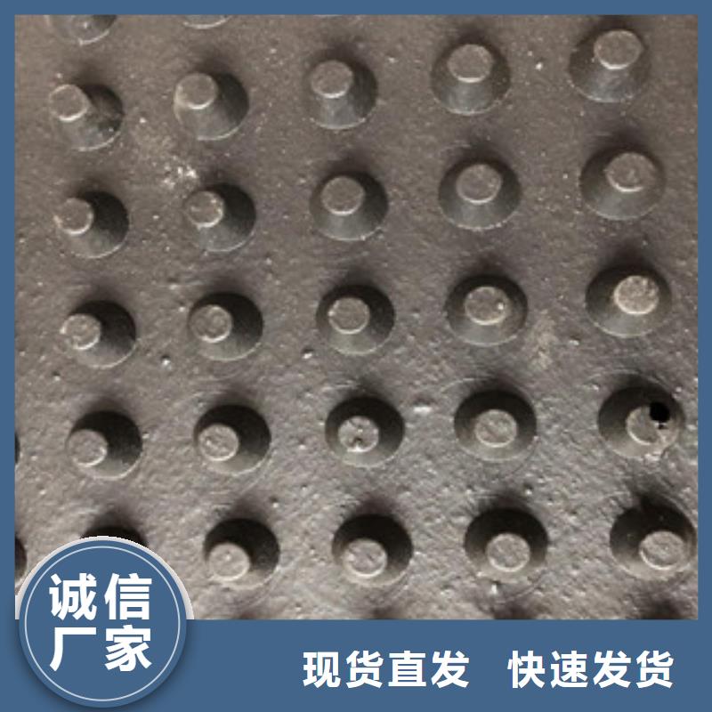 【塑料排水板】塑料土工格栅支持批发零售让利客户