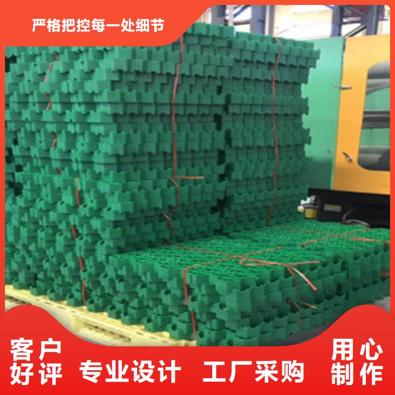 环保植草格_【生态袋厂家】厂家技术完善当地品牌