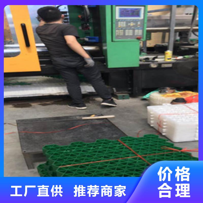 环保植草格-【土工布厂家】厂家售后完善定制零售批发