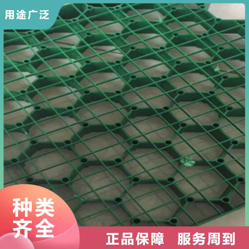 环保植草格【虹吸排水槽厂家】48小时发货常年供应