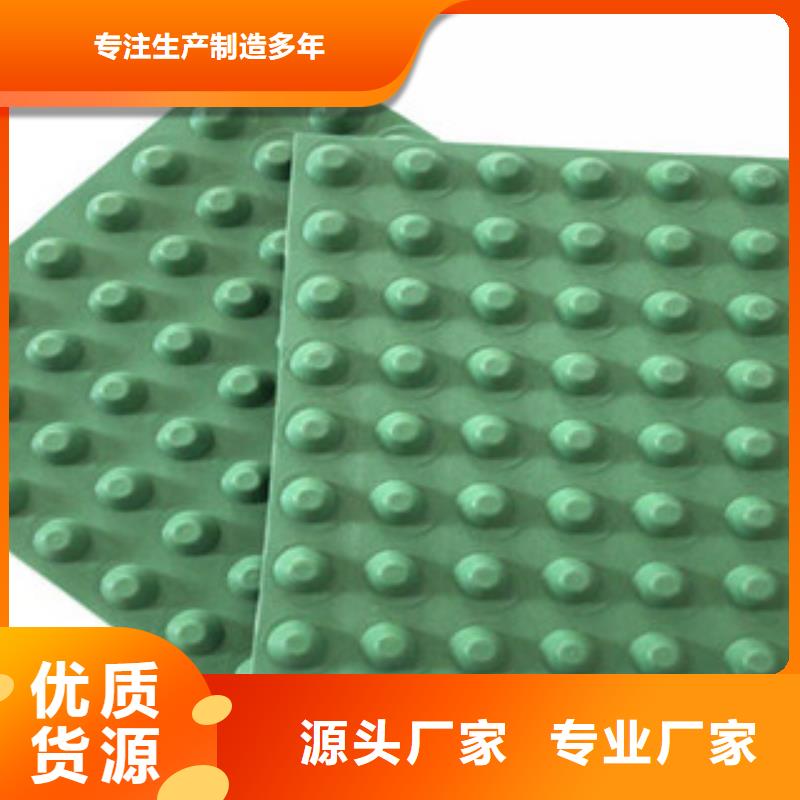 排水板排水板厂家现货销售大量现货