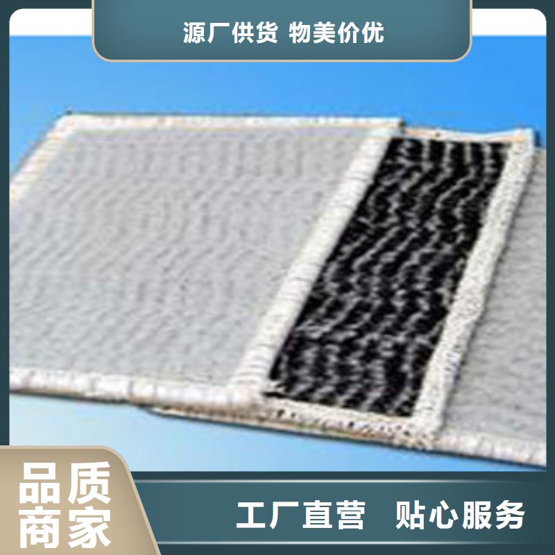 防水毯膨润土防水毯厂家我们更专业本地货源