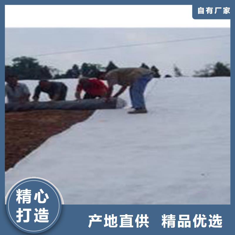 防水毯植草格厂家使用寿命长久本地厂家