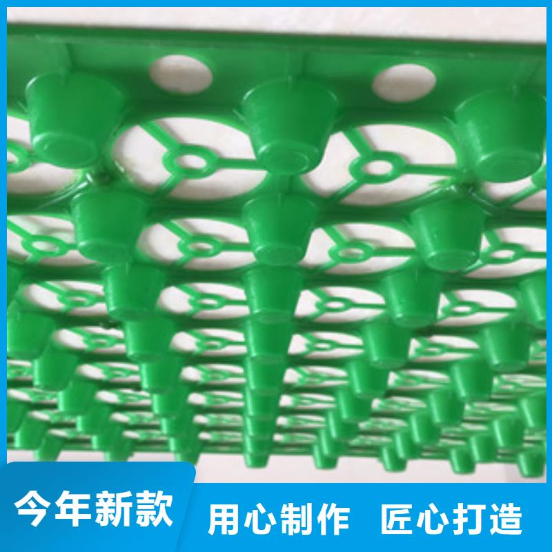 蓄排水板,蓄排水板厂家精心选材买的放心安兴用的舒心