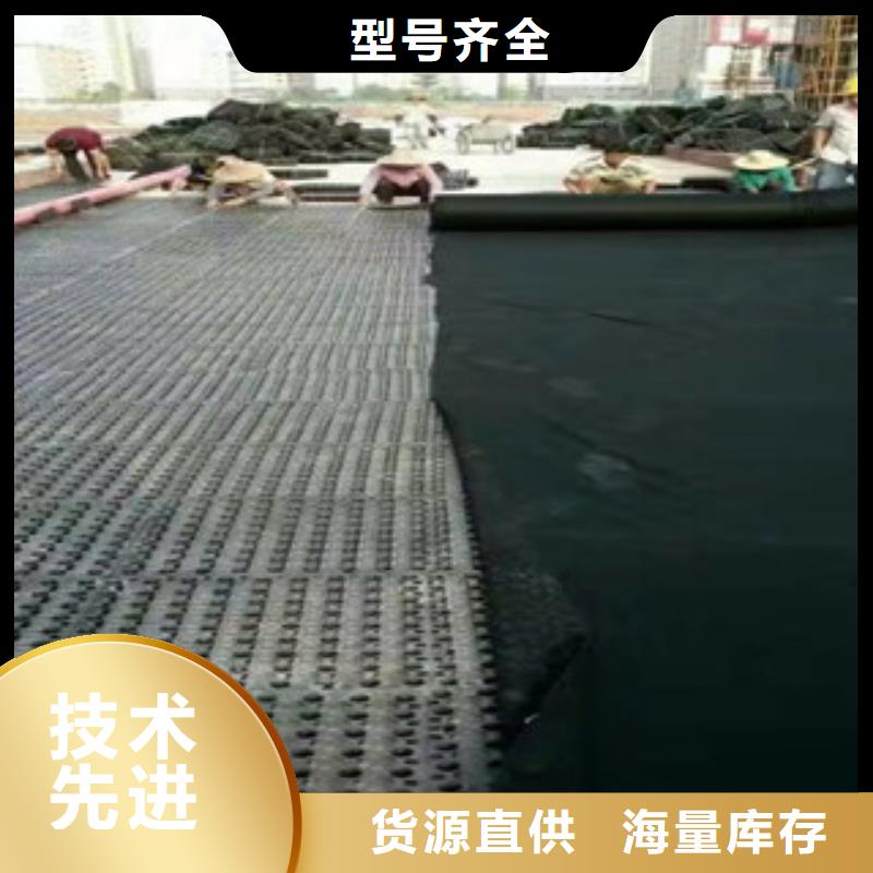 蓄排水板_蓄排水板厂家厂家直发同城经销商