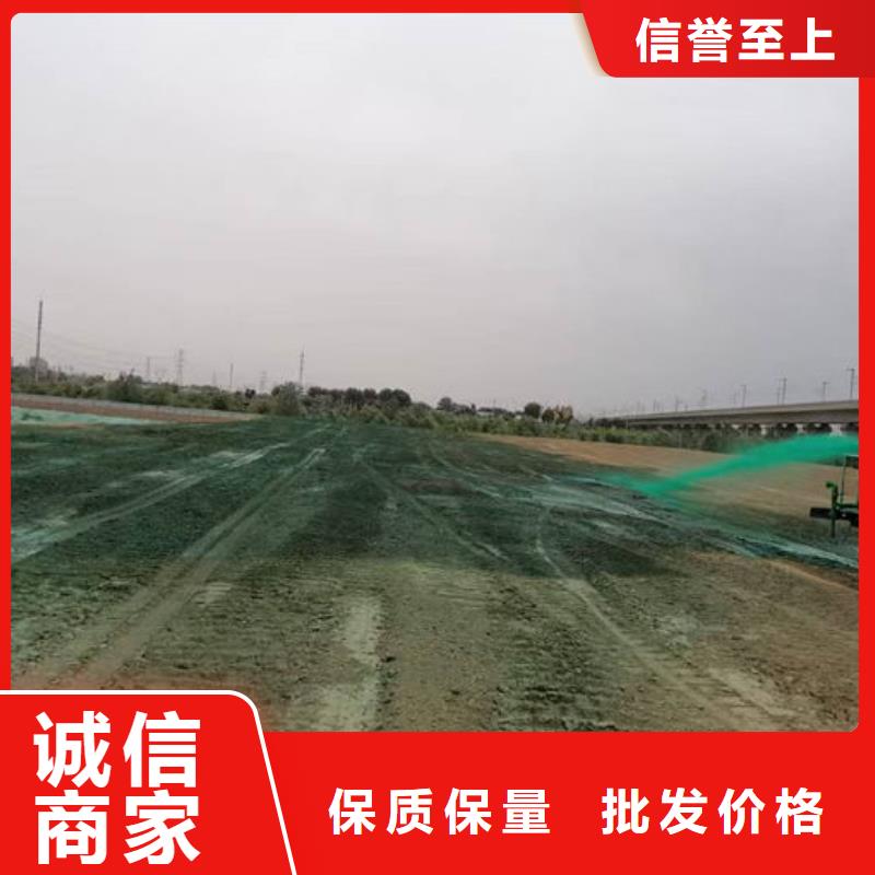 臭氧去除剂不断创新本地供应商