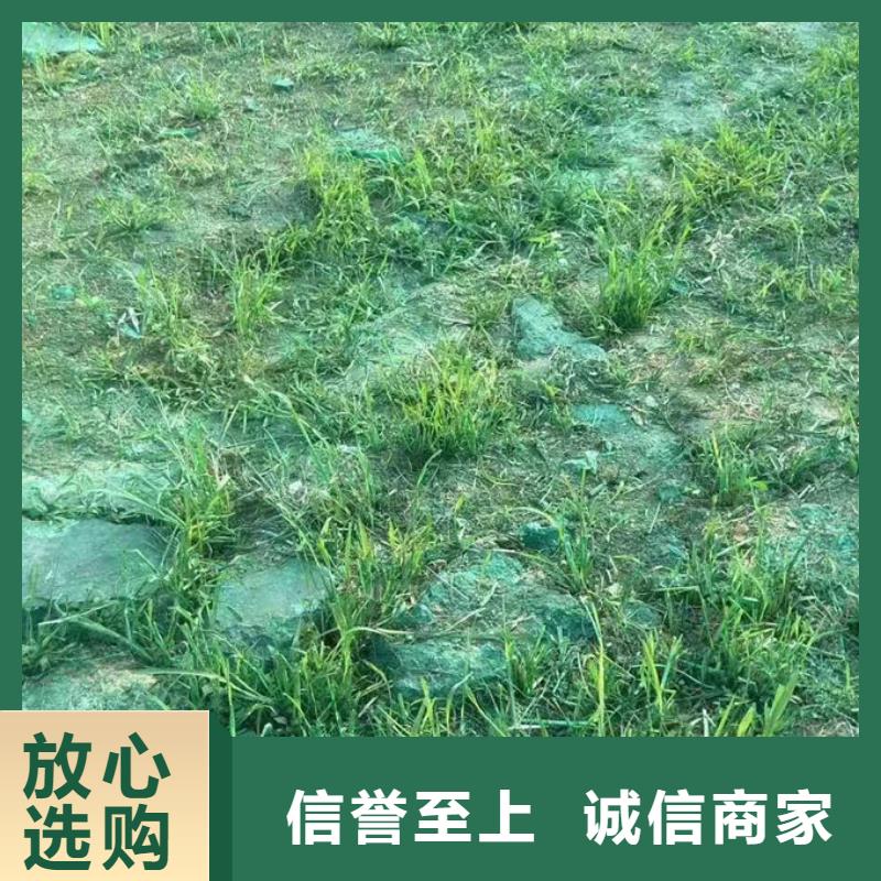 运煤火车结壳抑尘剂厂家直营免费安装