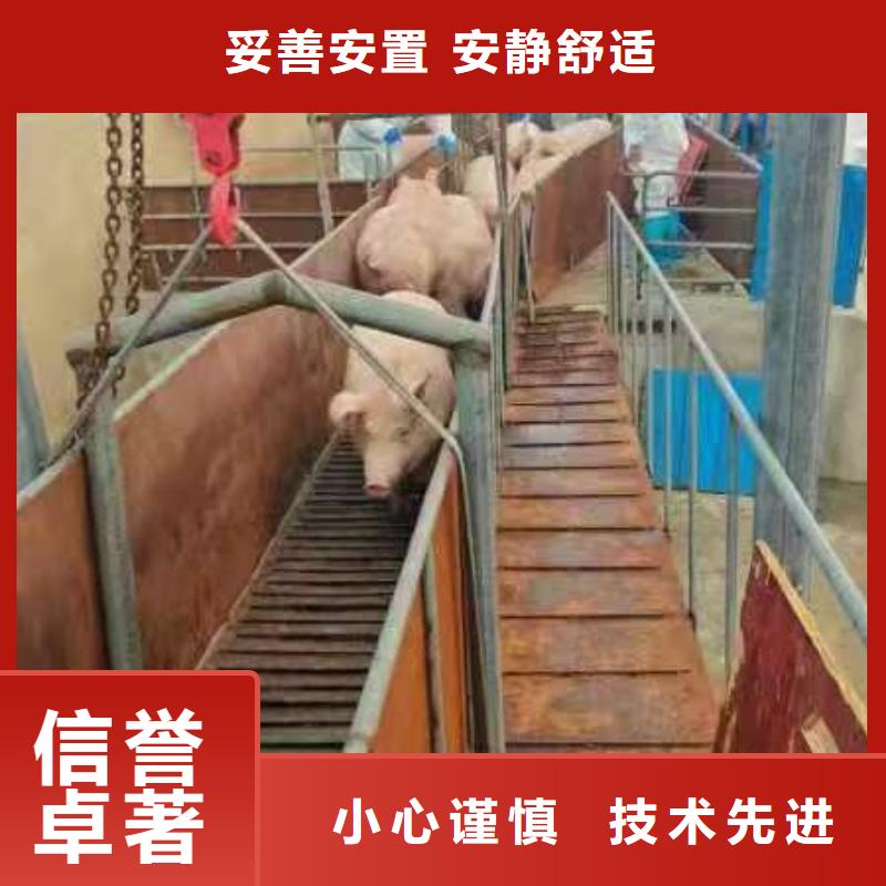 宿迁市泗阳到活禽运输信誉卓著甄选好厂家