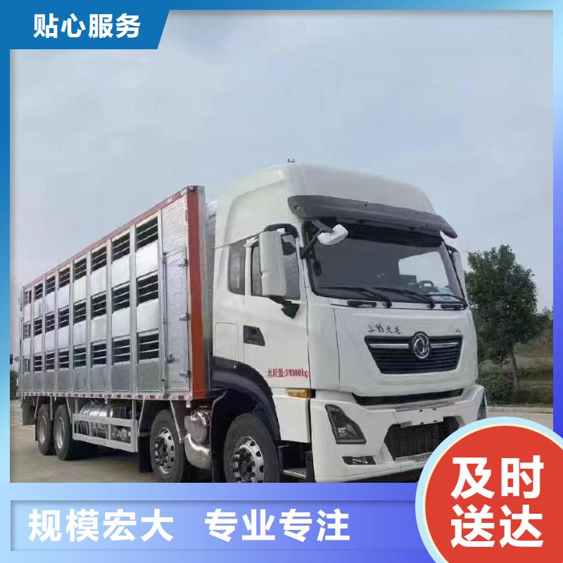宿迁市泗阳到猪笼车物流正规物流同城公司