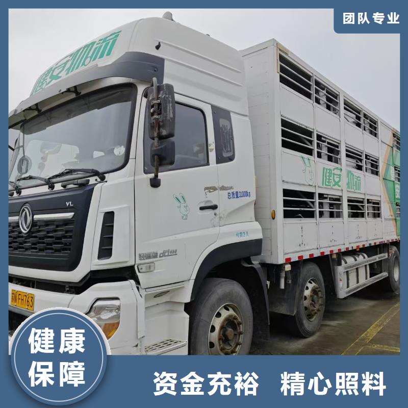 宿迁市沭阳到仔猪运输科学运输同城货源