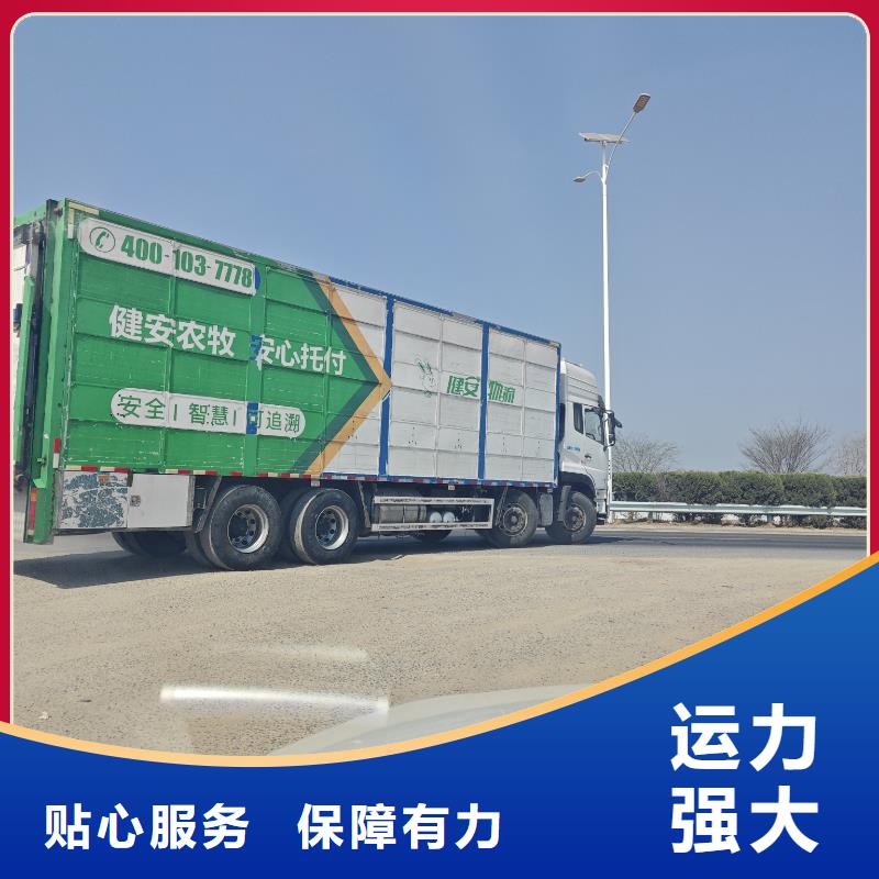 宿迁市泗洪到高栏车肥猪运输管理规范定制定做