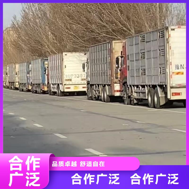 宿迁市泗阳到种猪空调车运输按时到达直销厂家