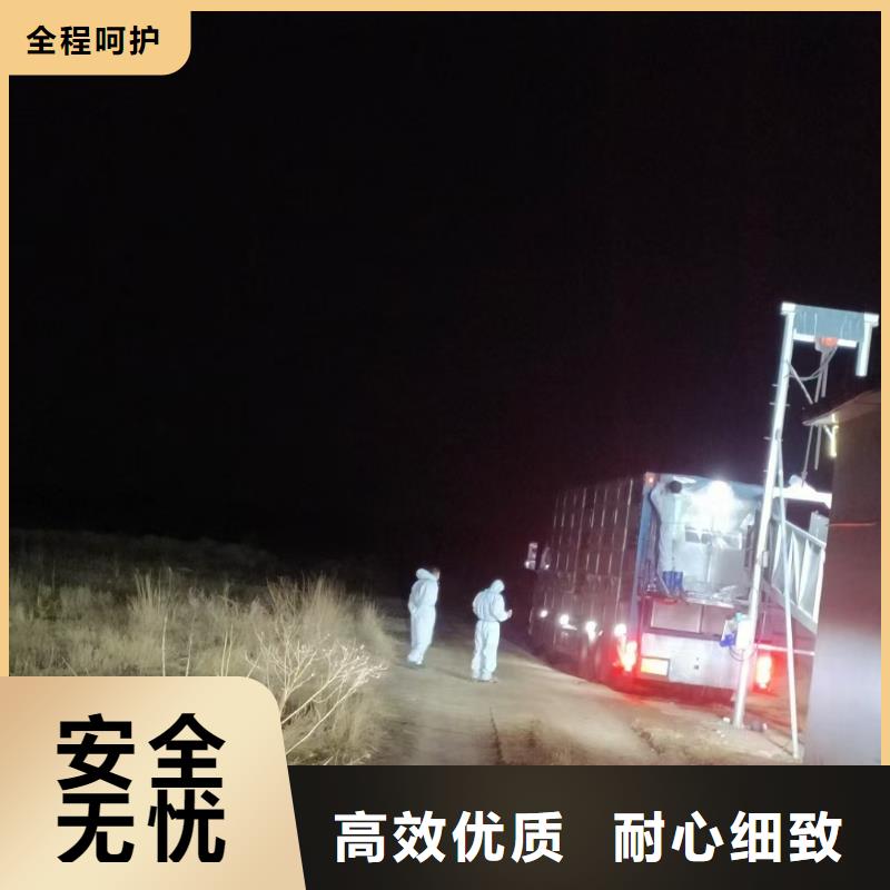 宿迁市沭阳到种猪运输按时到达品质信得过