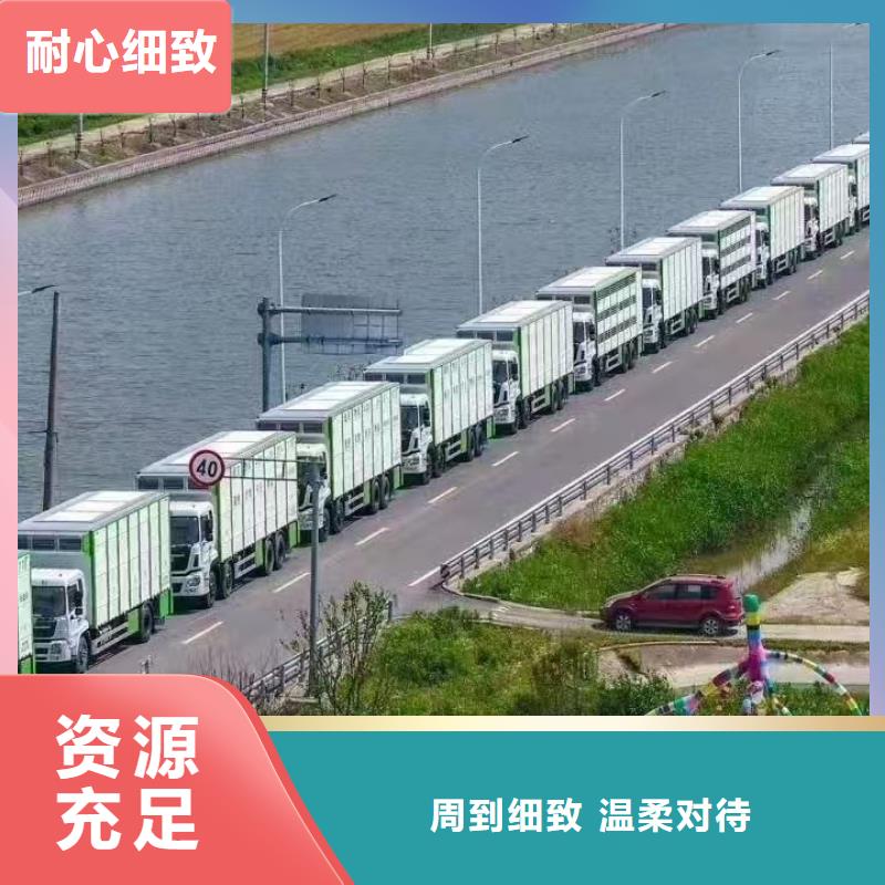 宿迁市泗洪到牛运输专用车保障同城公司