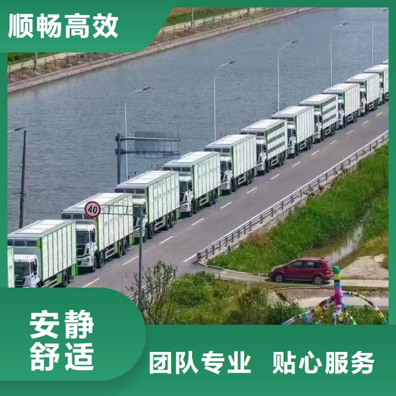 宿迁市沭阳到猪牛羊运输放心省心现货销售