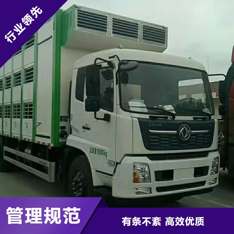 宿迁市沭阳到活禽运输舒适自在打造行业品质