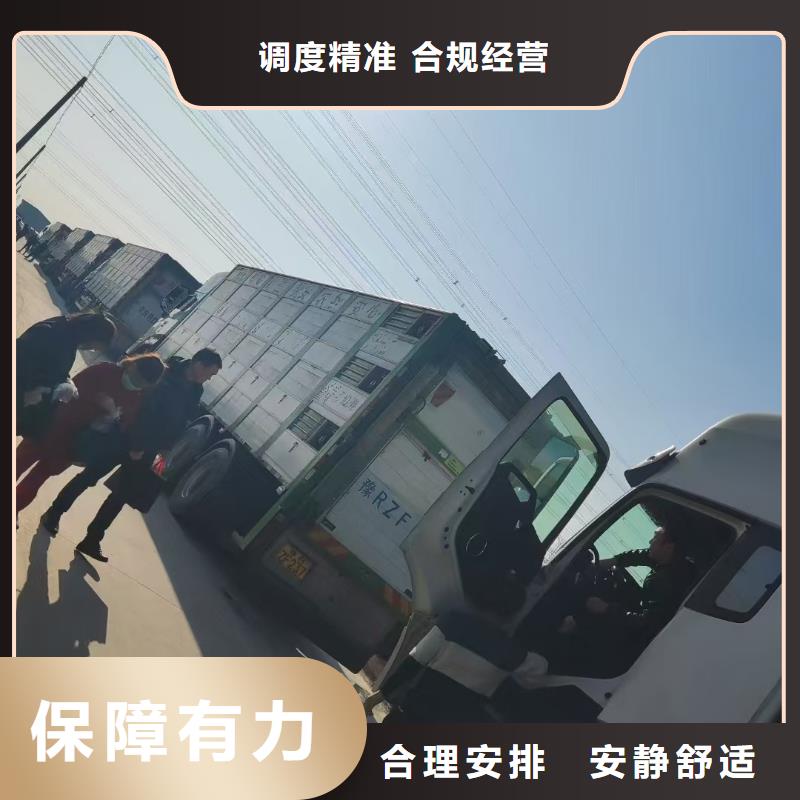 宿迁到猪笼车运输合理本地厂家