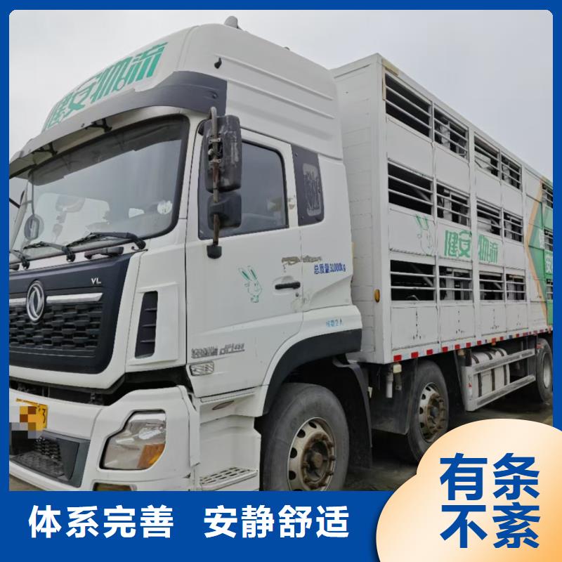 宿迁市到高栏车肥猪运输口碑良好一站式供应