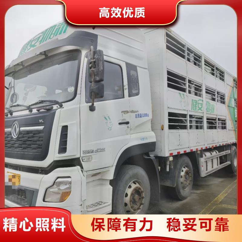宿迁到散装料专用车服务有保障当地生产厂家