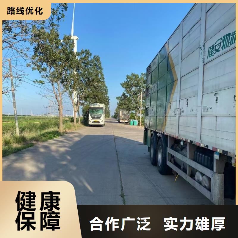 宿迁市泗洪到生猪空调车运输科学运输同城服务商